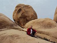joshua tree (7) (Copier).JPG